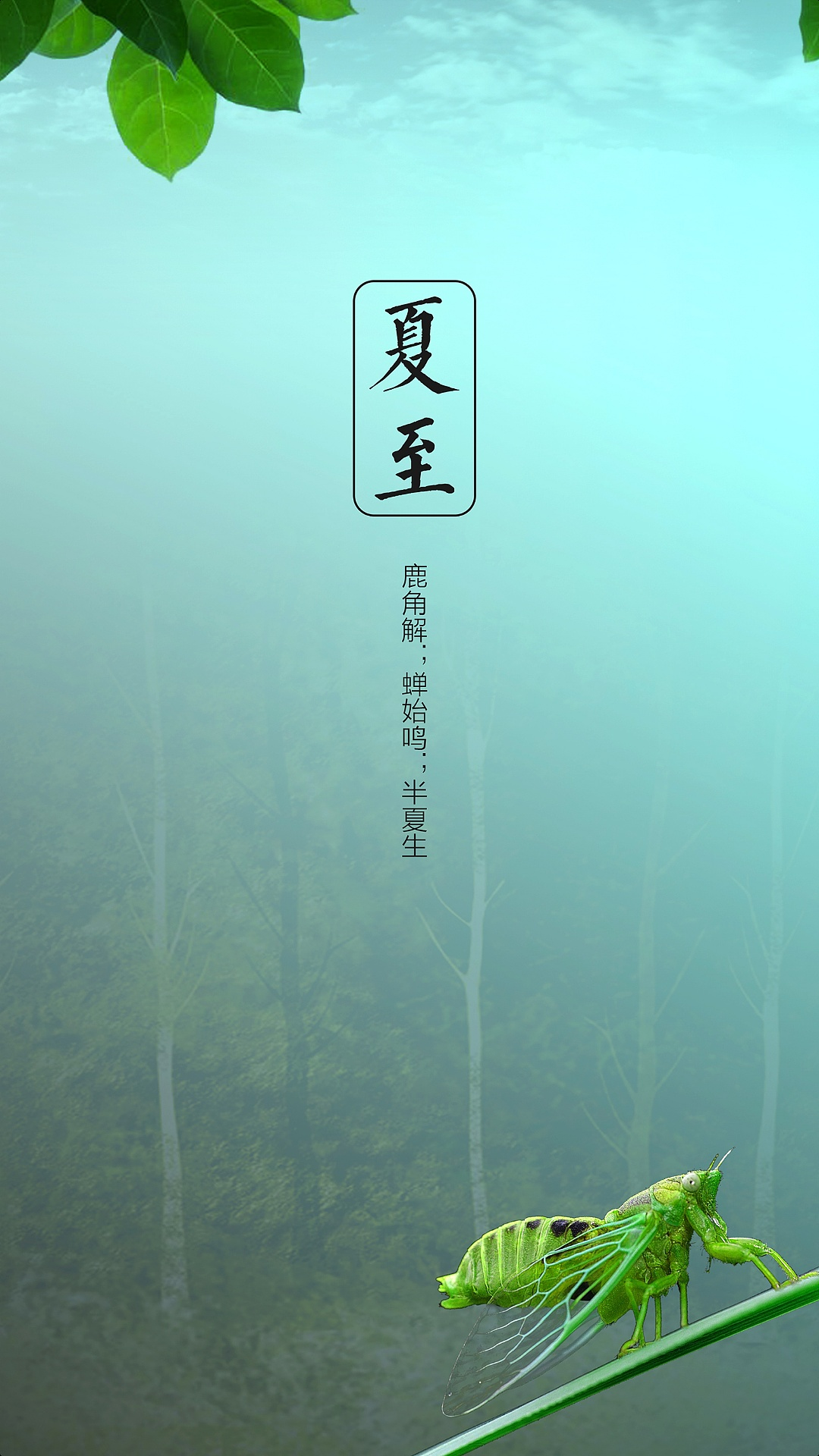 夏日炎炎，卡多陪伴，《卡多派對》6月23日IPTV即將上線
